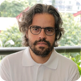 Flavio Vinicius Diniz de Figueiredo