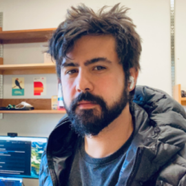 Lucas N. Ferreira